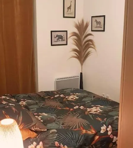 L'appart Aixois - Au Coeur De La - Location *